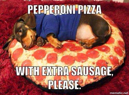 funny-weiner-dog-on-pizza.jpg