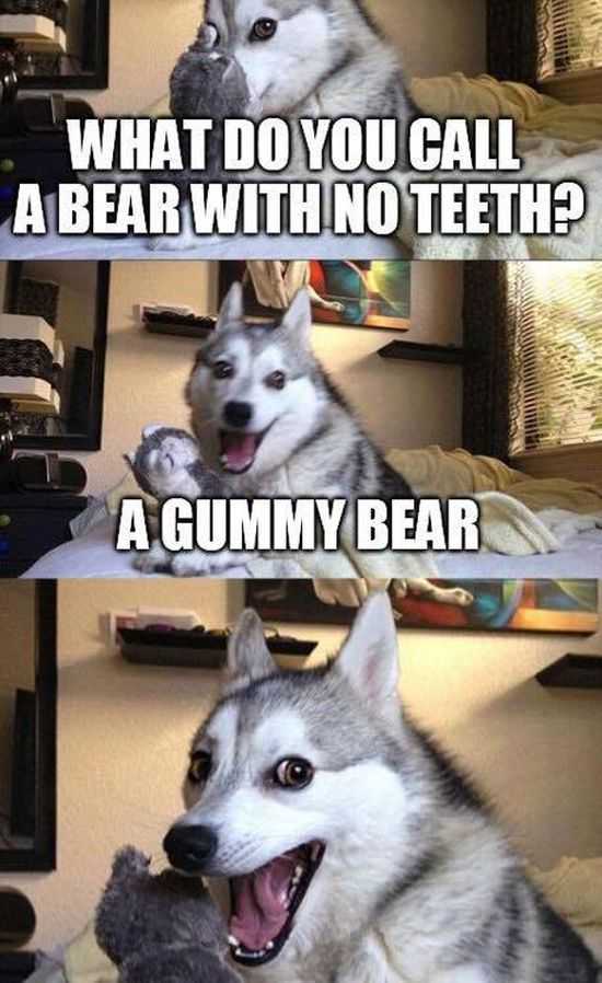 Random Funny Pictures Of The Week