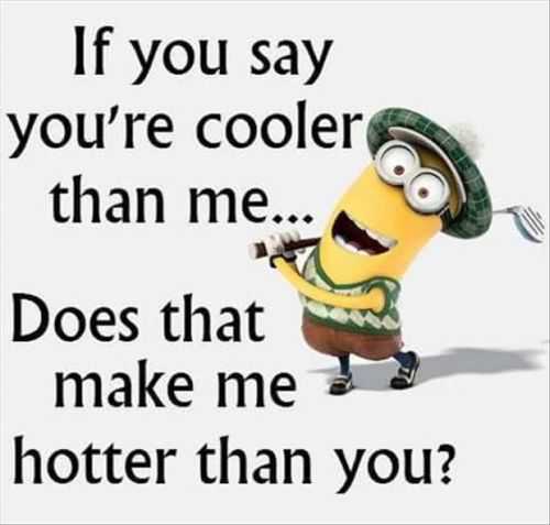Funny Quotes 246