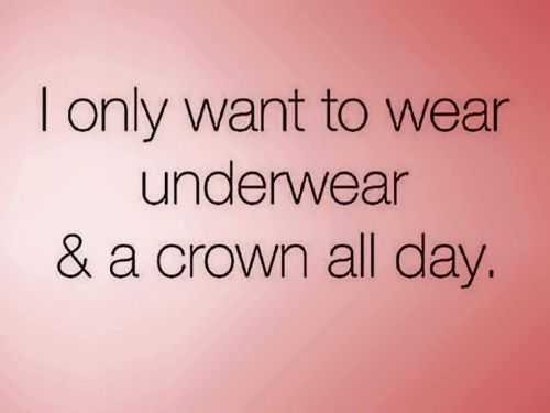 Funny Quotes 273