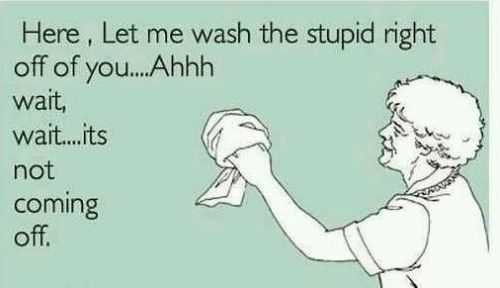 wipe the stupid off funny ecard