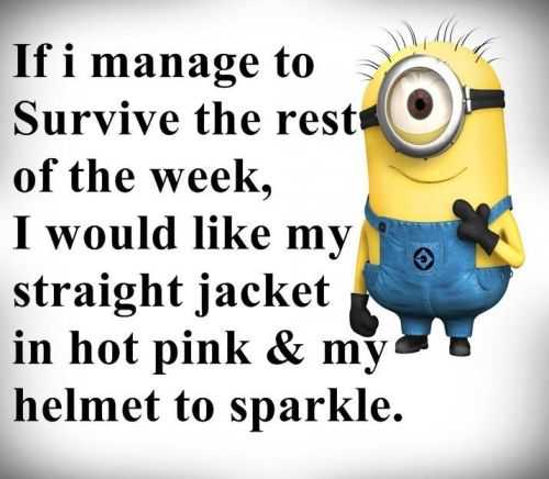 Minions Quotes Of The Day 313