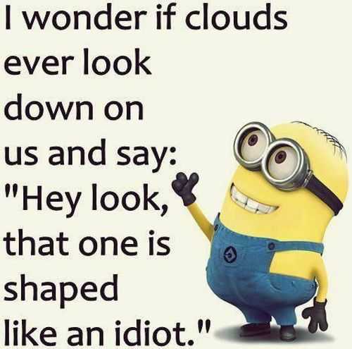 Funny Minions Pictures Of The Week