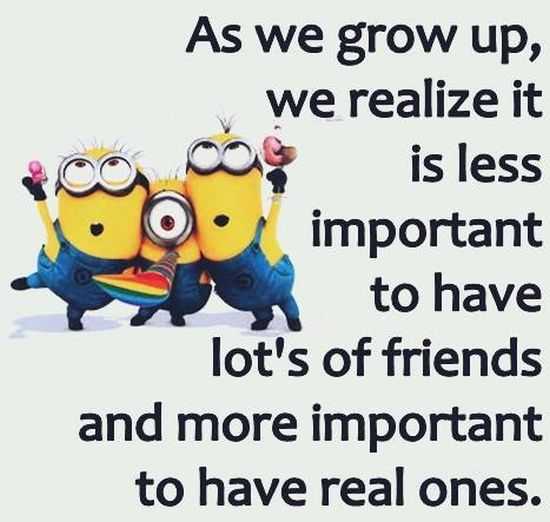 Funny Minions 011