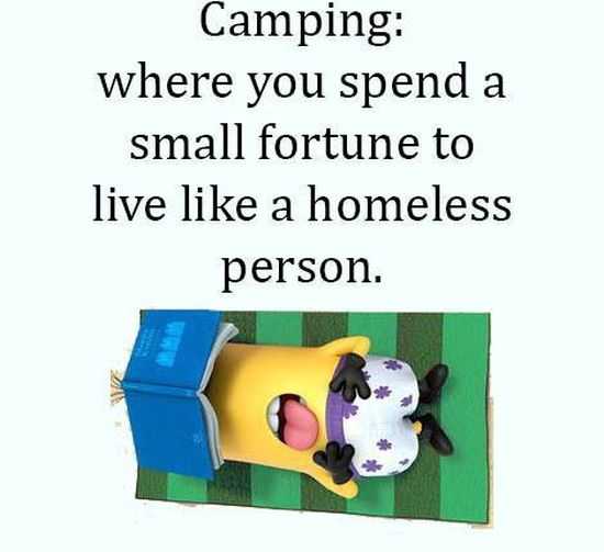 New Minion Pictures Of The Day 031