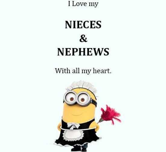 New Funny Minion Pictures And Quotes 018