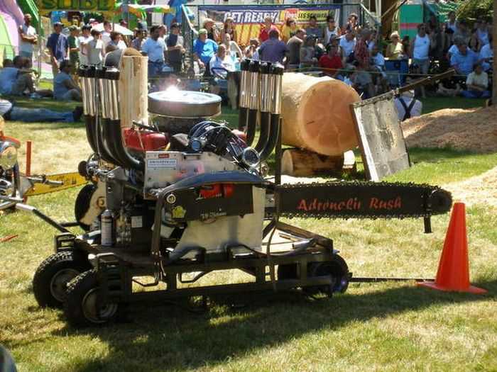 Let's see your chainsaws! Bonsai Nut