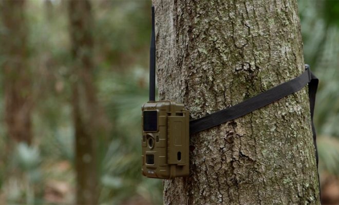 Someone Put A Bunch Of IEDs In Trail Cameras - ATF Has Issued A Warning