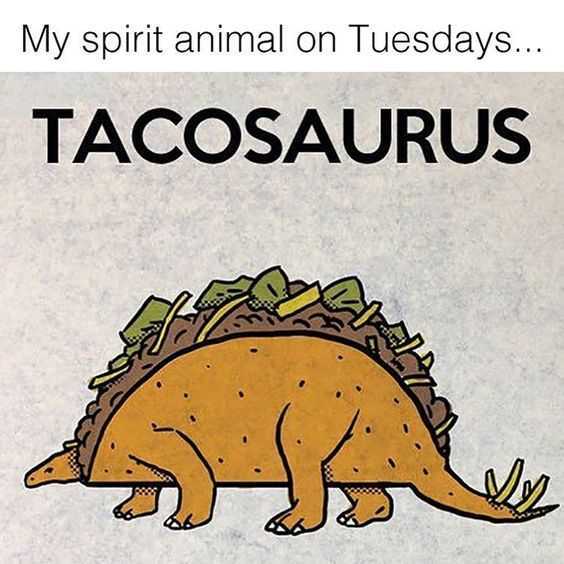 27 Taco Memes for Taco Tuesday or Any Day - The Funny Beaver