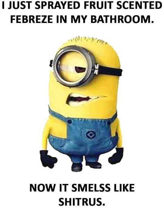 33 So Funny Minion Quotes and Pictures