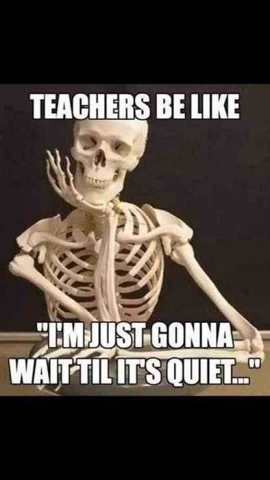 37 Hilarious Teacher Memes
