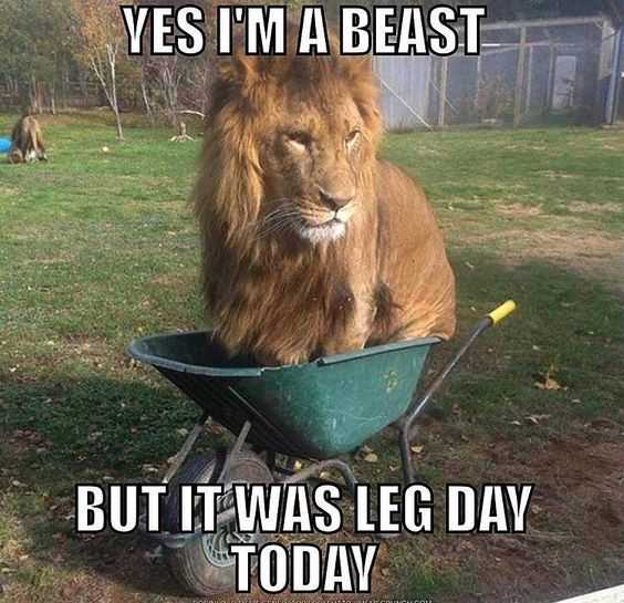 36 Hilarious Leg Day Memes for When You're Sore and Feel ...