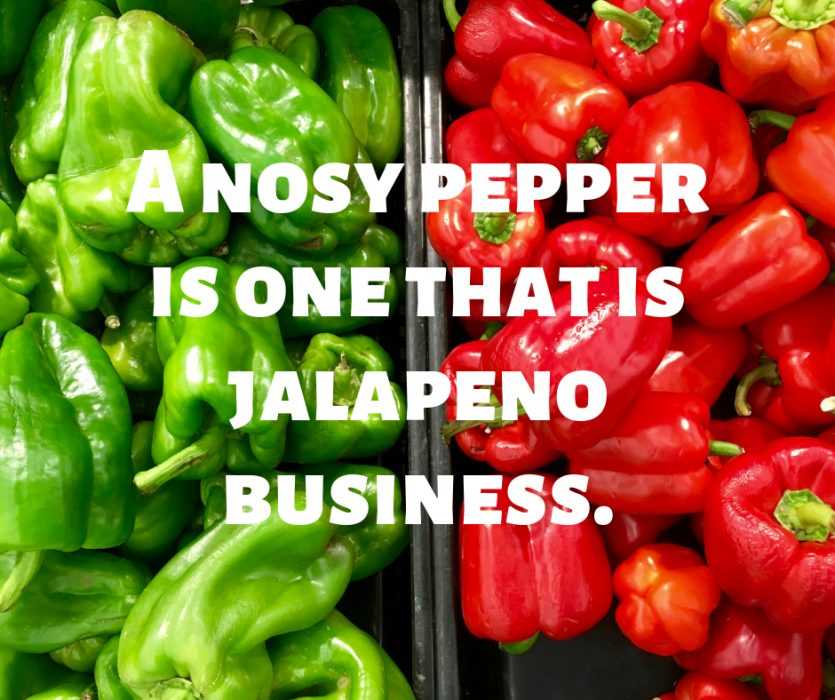 13 Hilarious and Funny Quotes