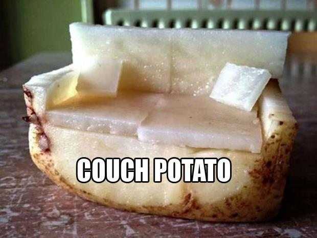 Funny Couch Potato The Funny Beaver