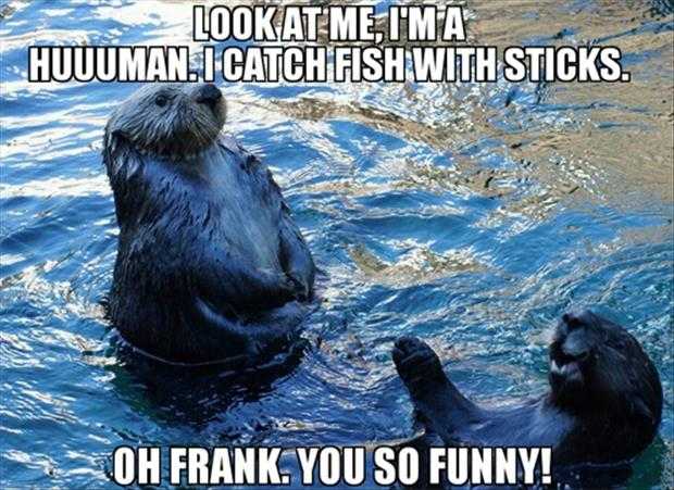 funny-otters - The Funny Beaver