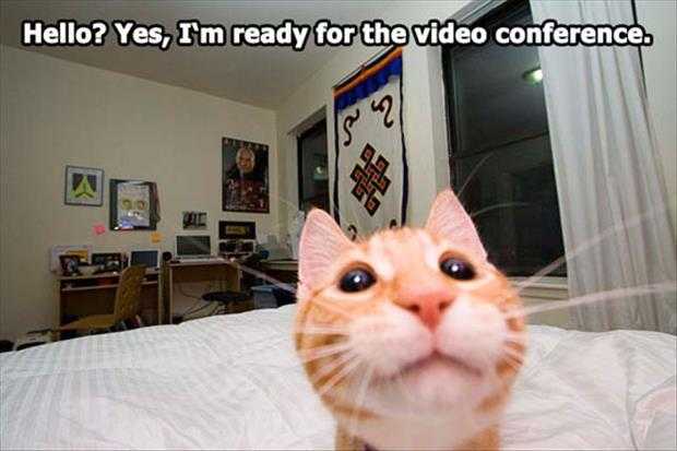 funny pictures of the day