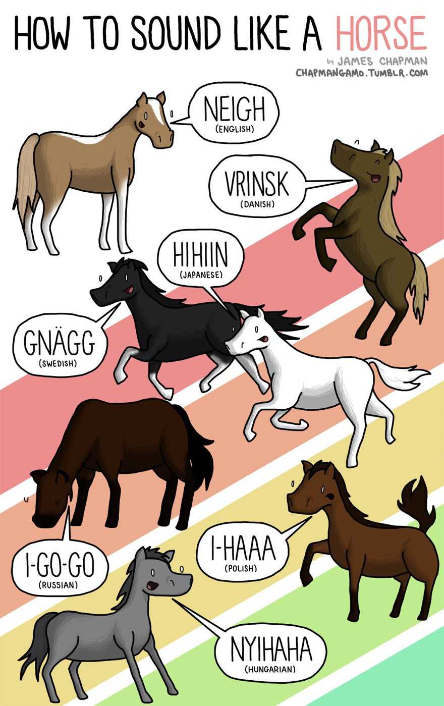 how animals sound in different languages