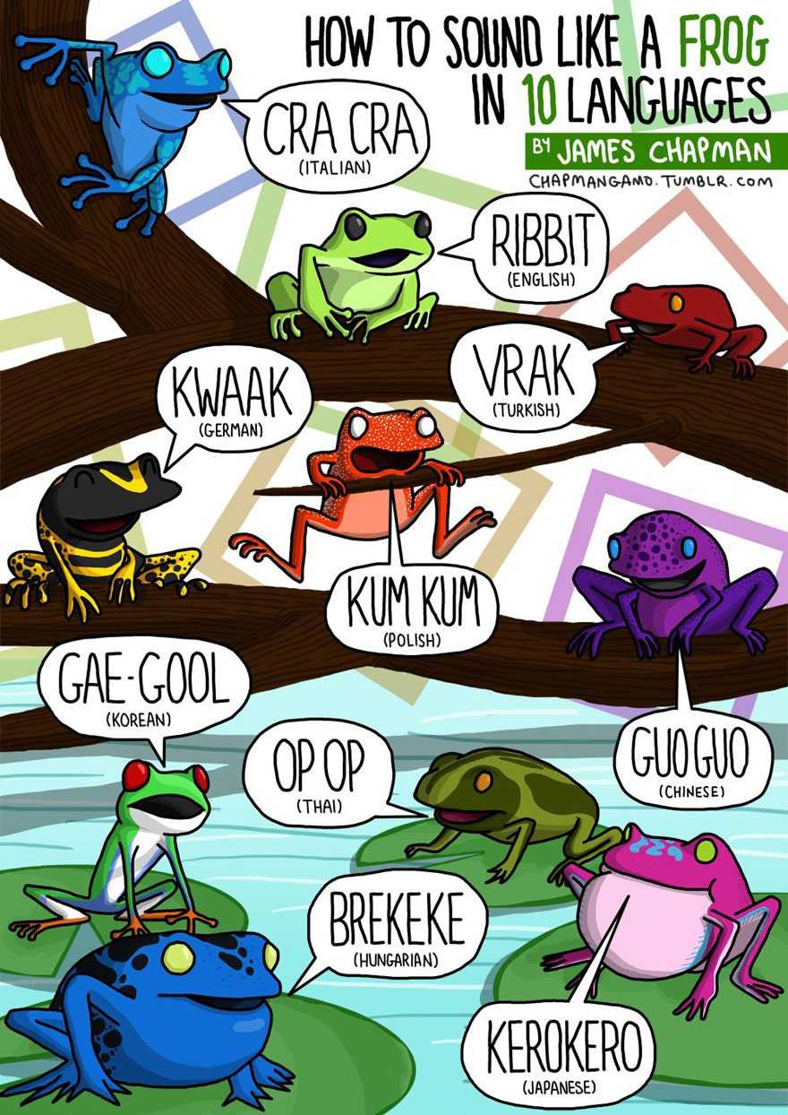 how animals sound in different languages