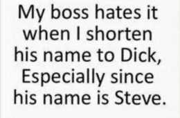 Funny Quotes 219