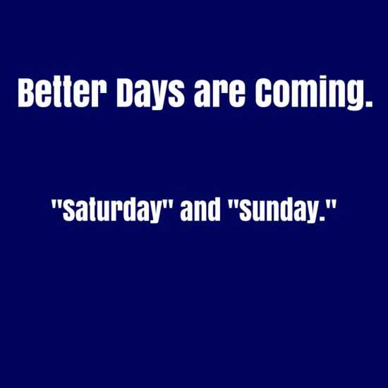 Funny Quotes
