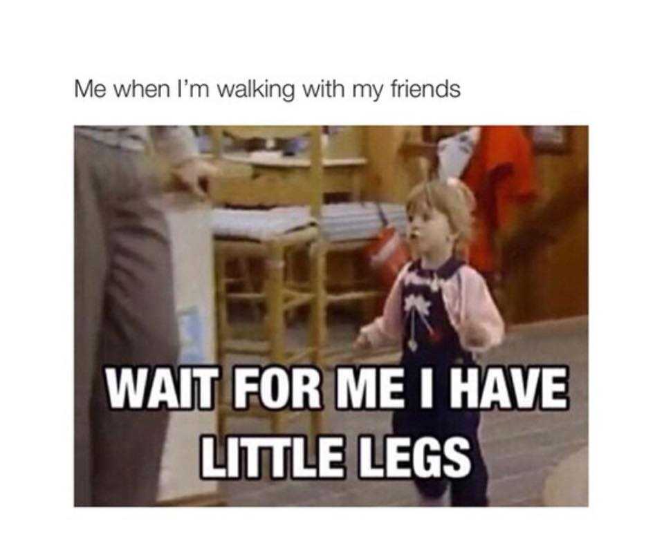 funny picture of the day (3)