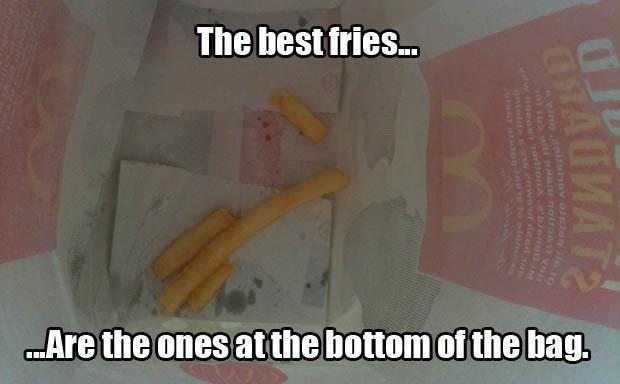 funny picture of the day (4)