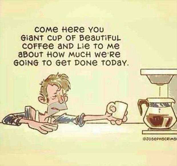 funny quote of the day (1)