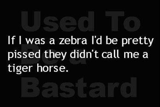 funny quote of the day (6)