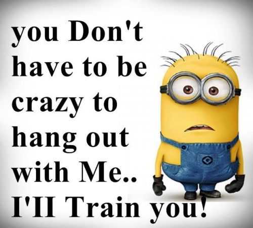 Funny Minion Quotes 282