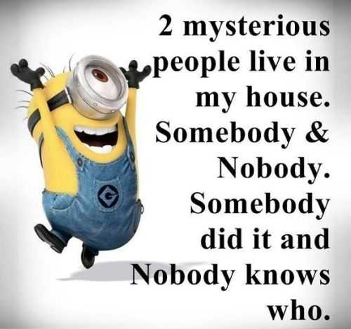 Funny Minion Quotes 286