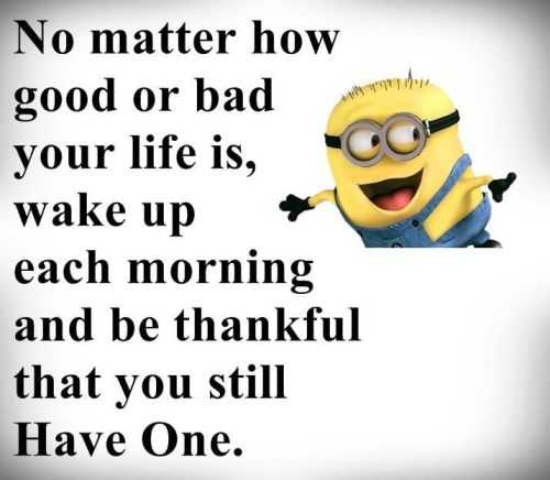Funny Minion Quotes Of The Day 281