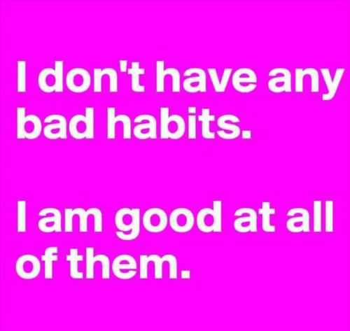 Funny Quotes 258