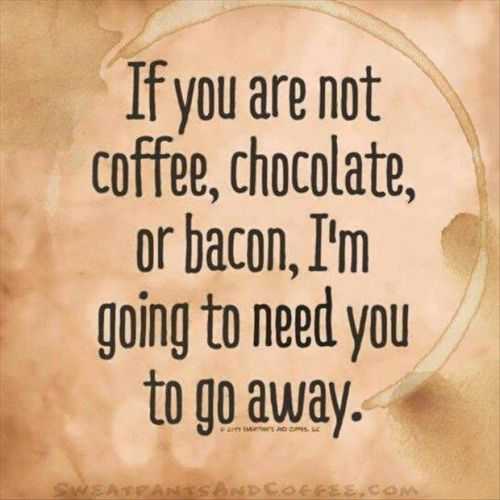 Funny Quotes 259