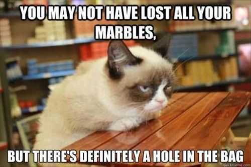 have you lost your marbles grumpy cat says so