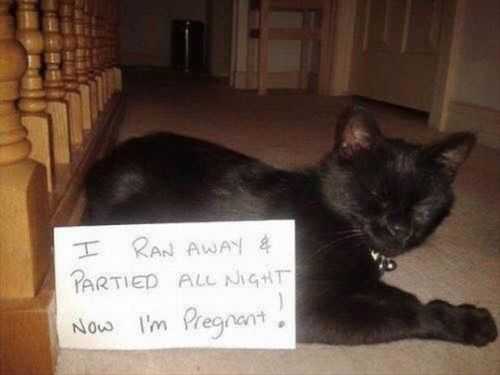 my can went out partying and got pregnant