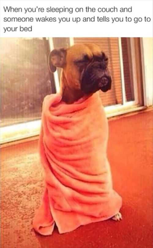 what you look like sleeping on the couch