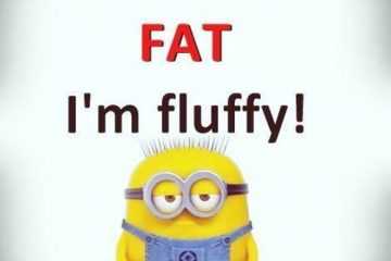 Best New Funny Despicable Me Minions Quotes 014
