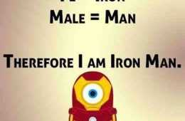 Funny Minions Quotes 024