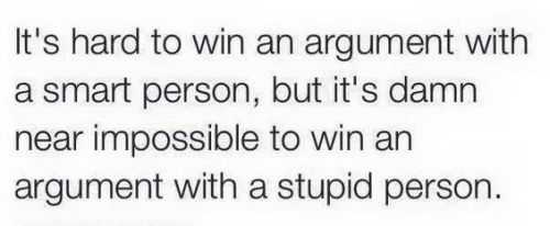 its hard to win an argument with a stupid person but it is impossible to win an argument with a stupid person funny quote