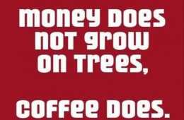 Money Does Not Grow On Trees But Coffee Does