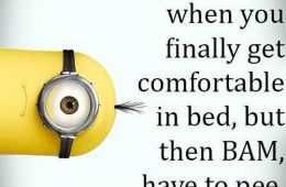 Funny Minions Pictures Of The Week 013