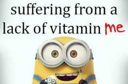 New Funny Minions Quotes 036