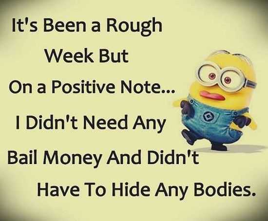 Funny Minions Pictures Of The Week