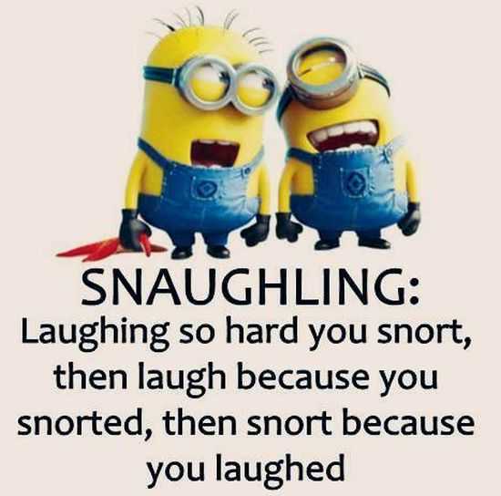 Funny Minions Pictures Of The Week