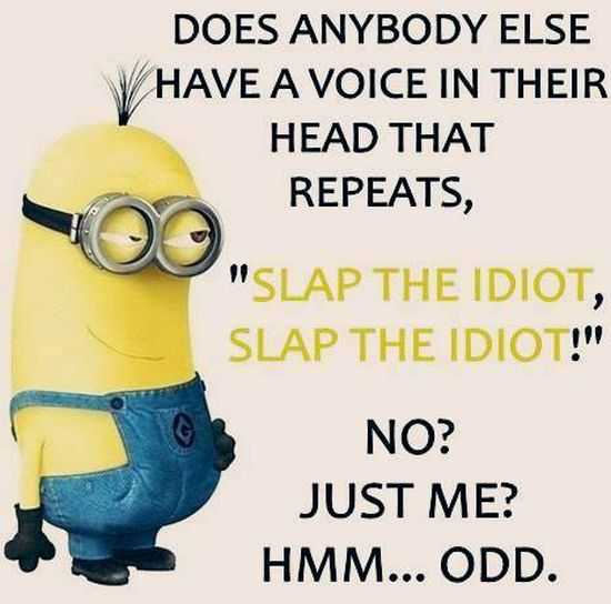Funny Minions Quotes of The Week 013