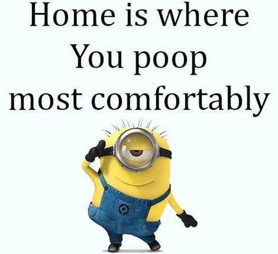 Funny Minions Quotes of The Week 035