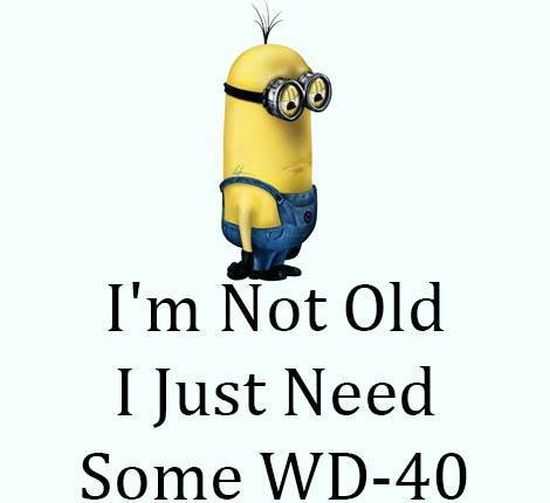 Funny Minions Quotes of The Week 044