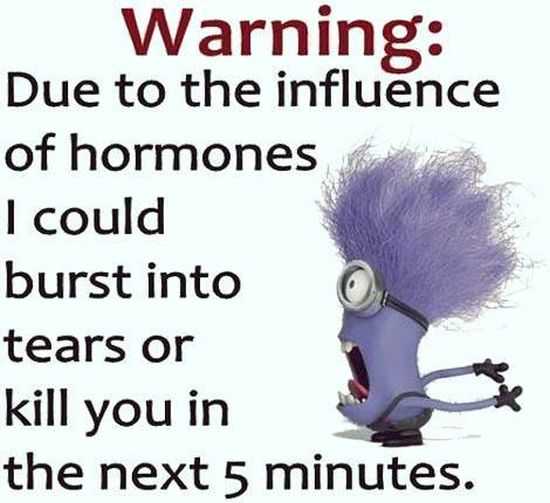 Funny New Minions Pictures 011