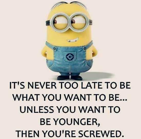 funny minion pictures funny minion pictures