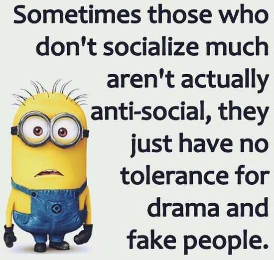 Funny New Minions Pictures 014